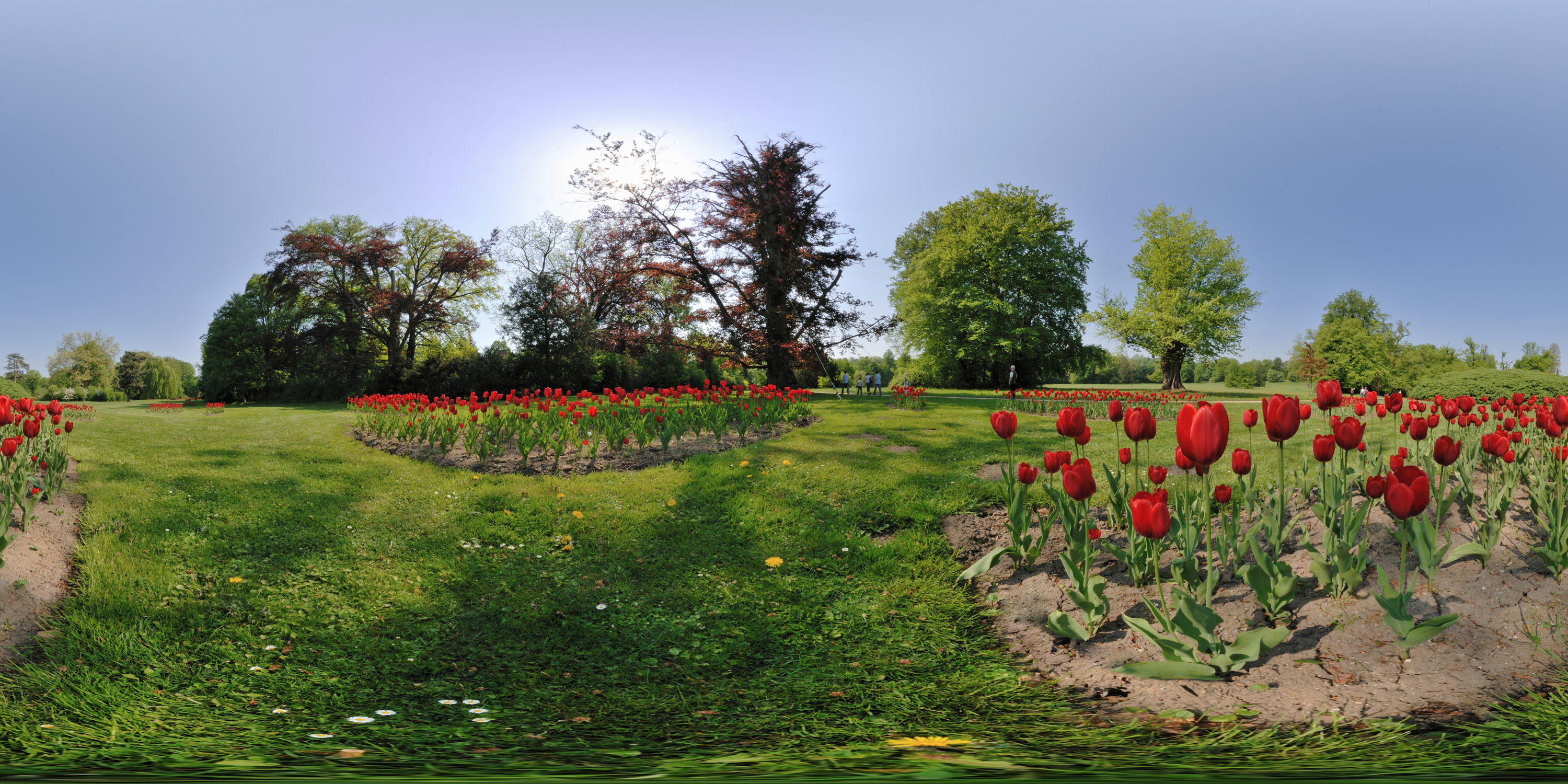 Equirectangular