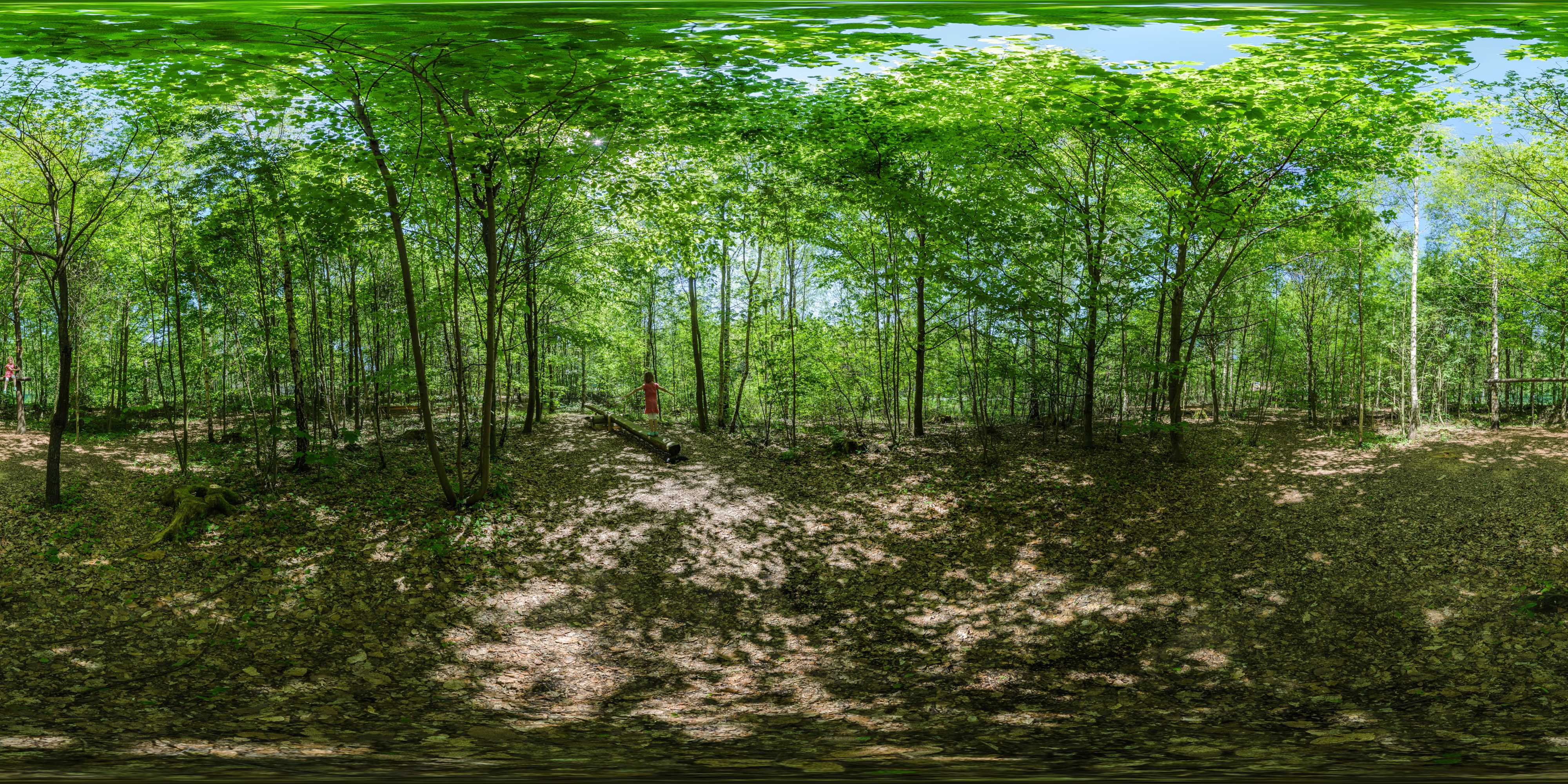 Equirectangular