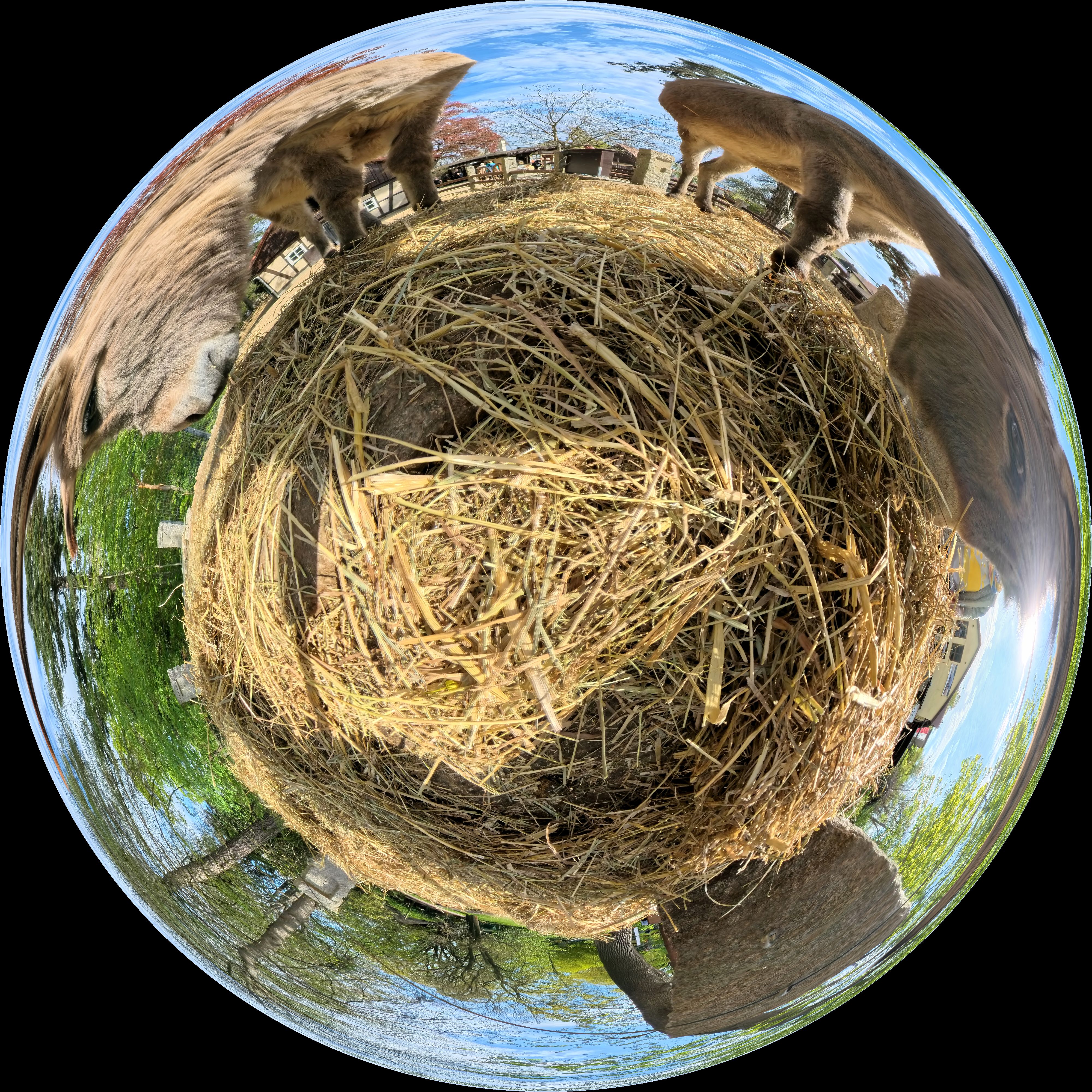 Equirectangular