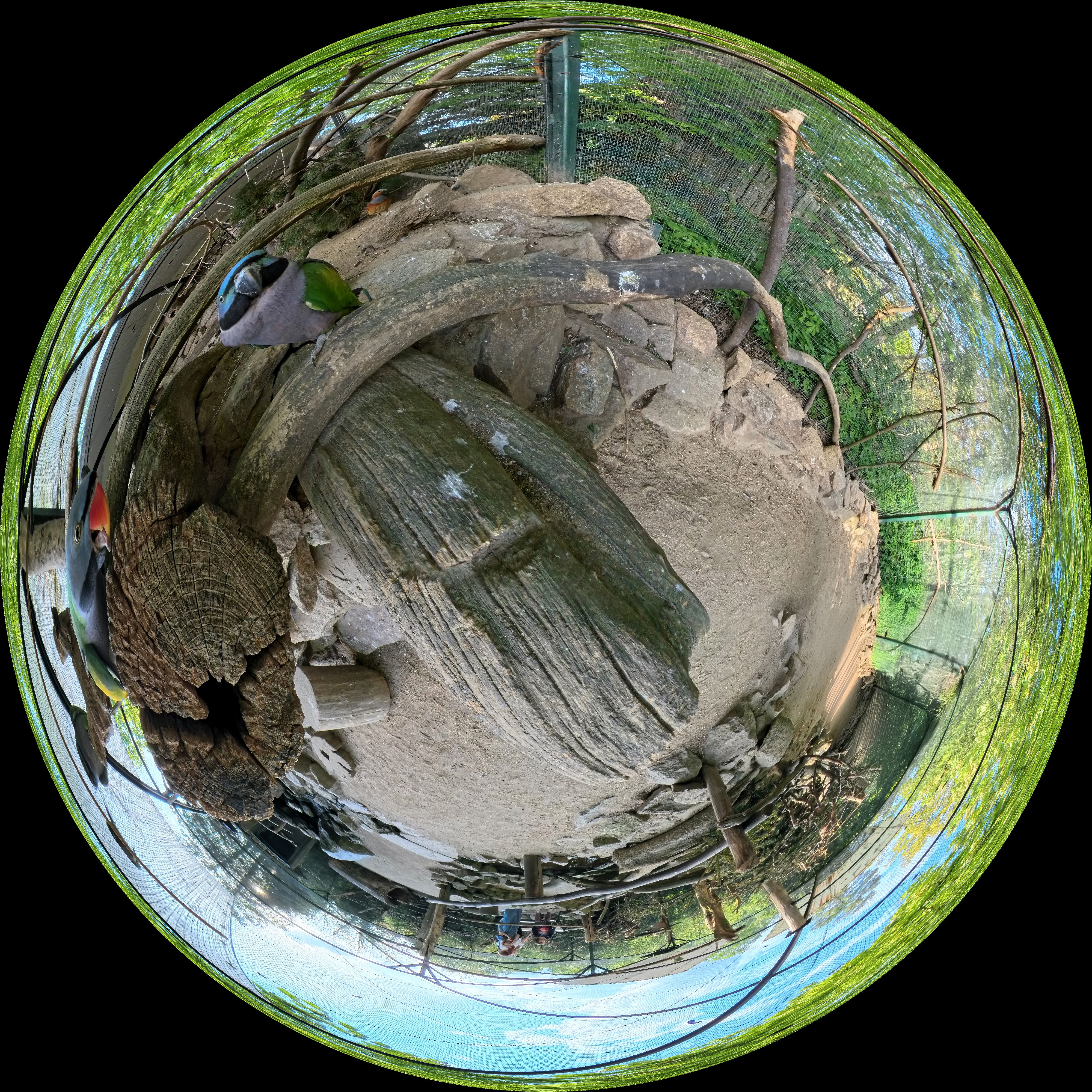 Equirectangular