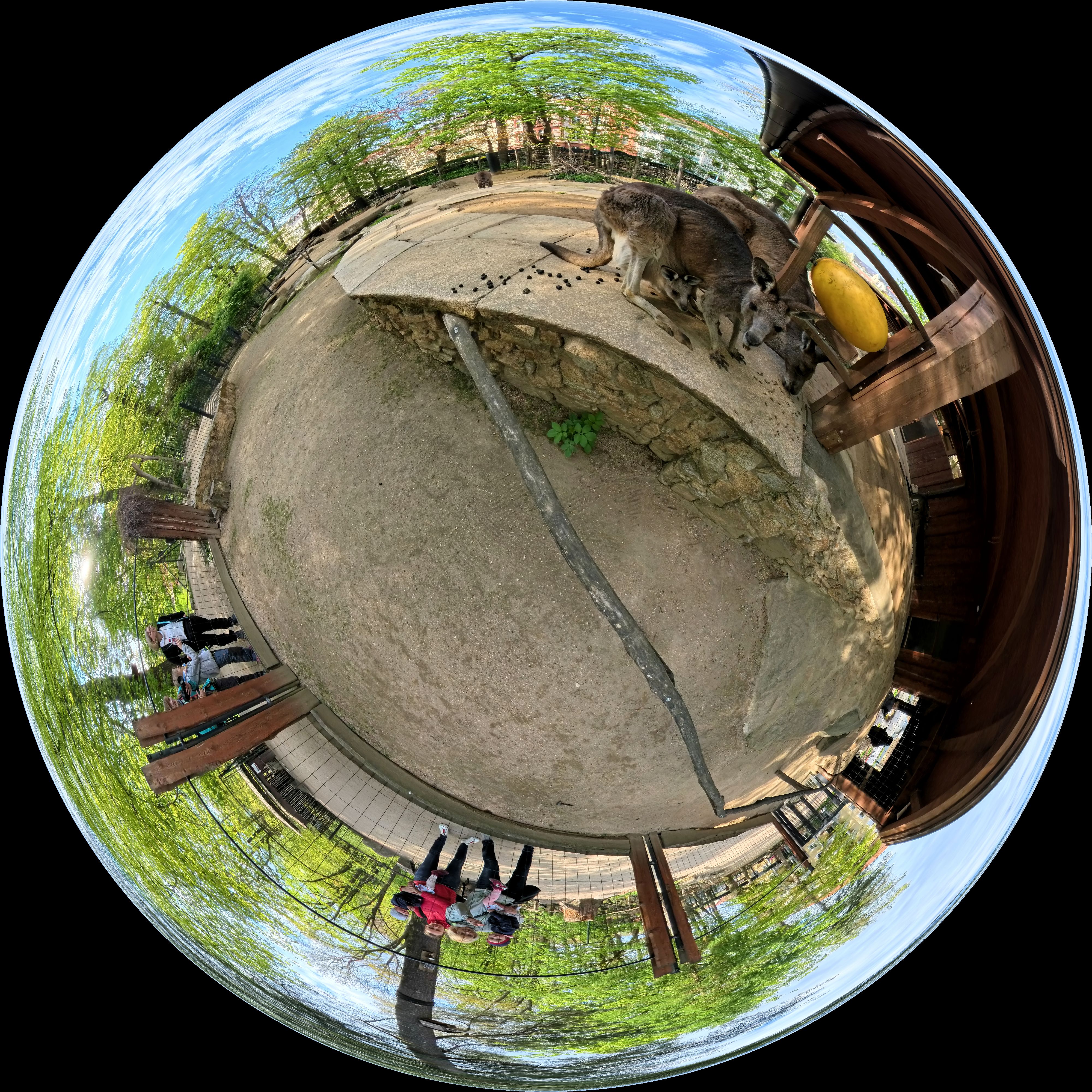 Equirectangular