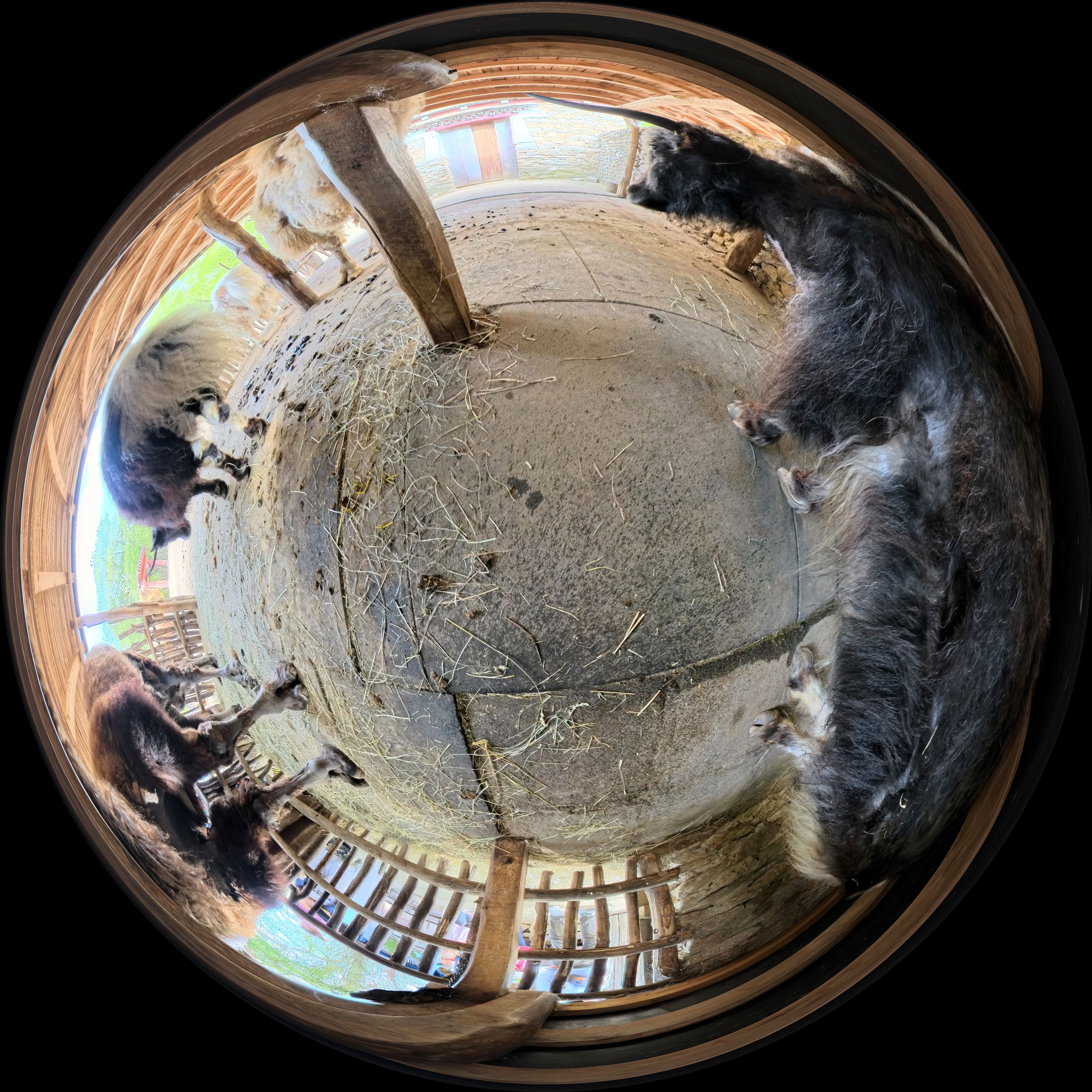 Equirectangular