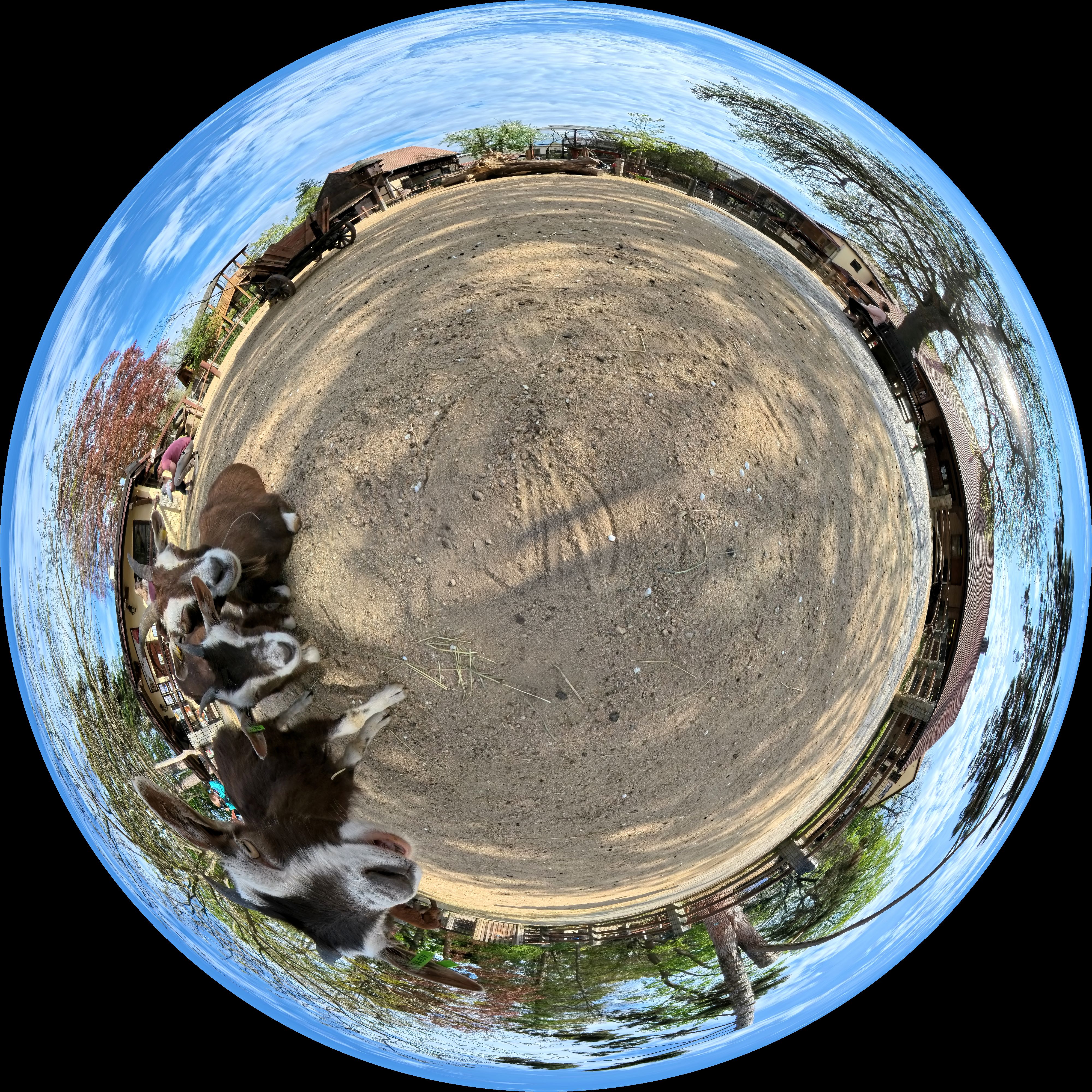 Equirectangular