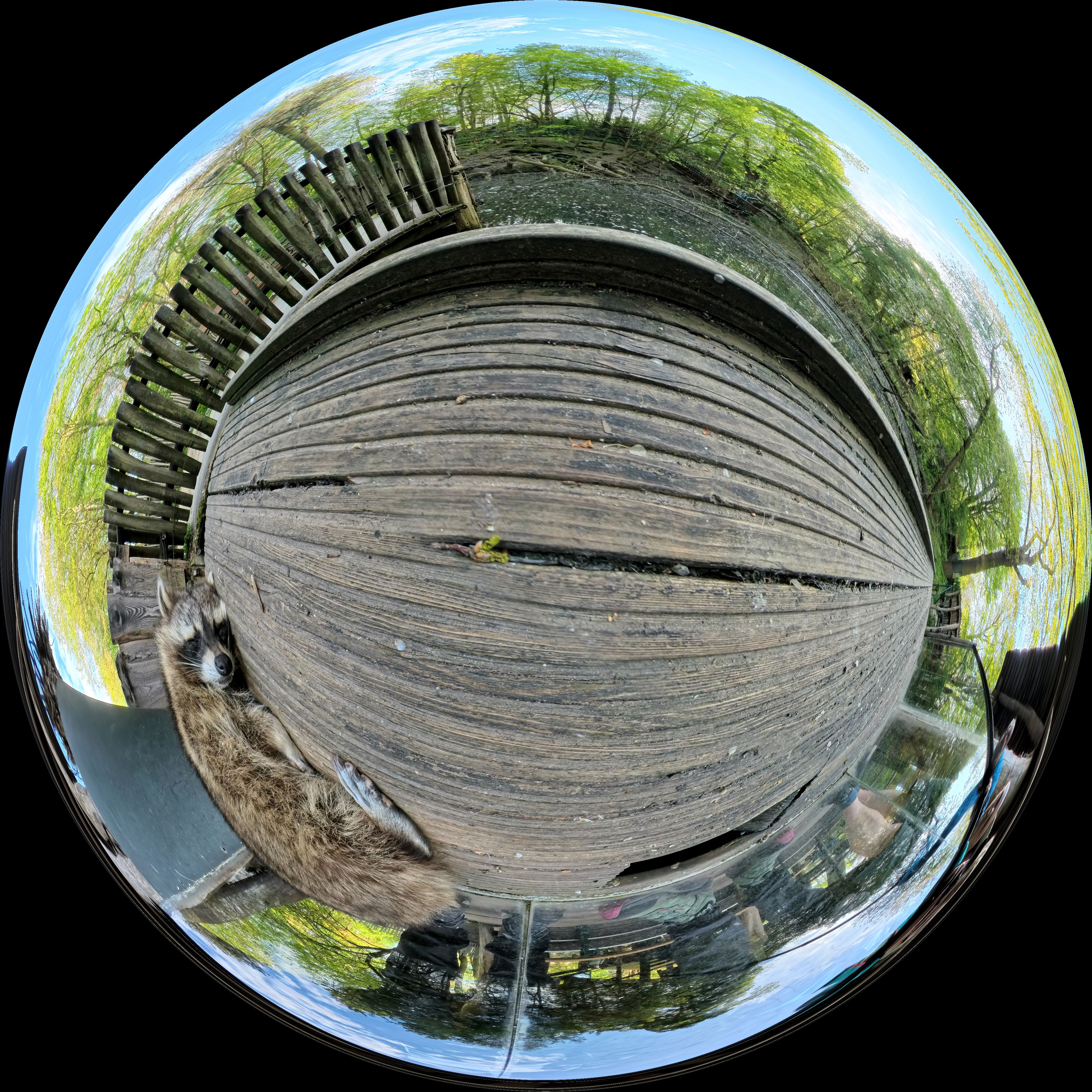 Equirectangular