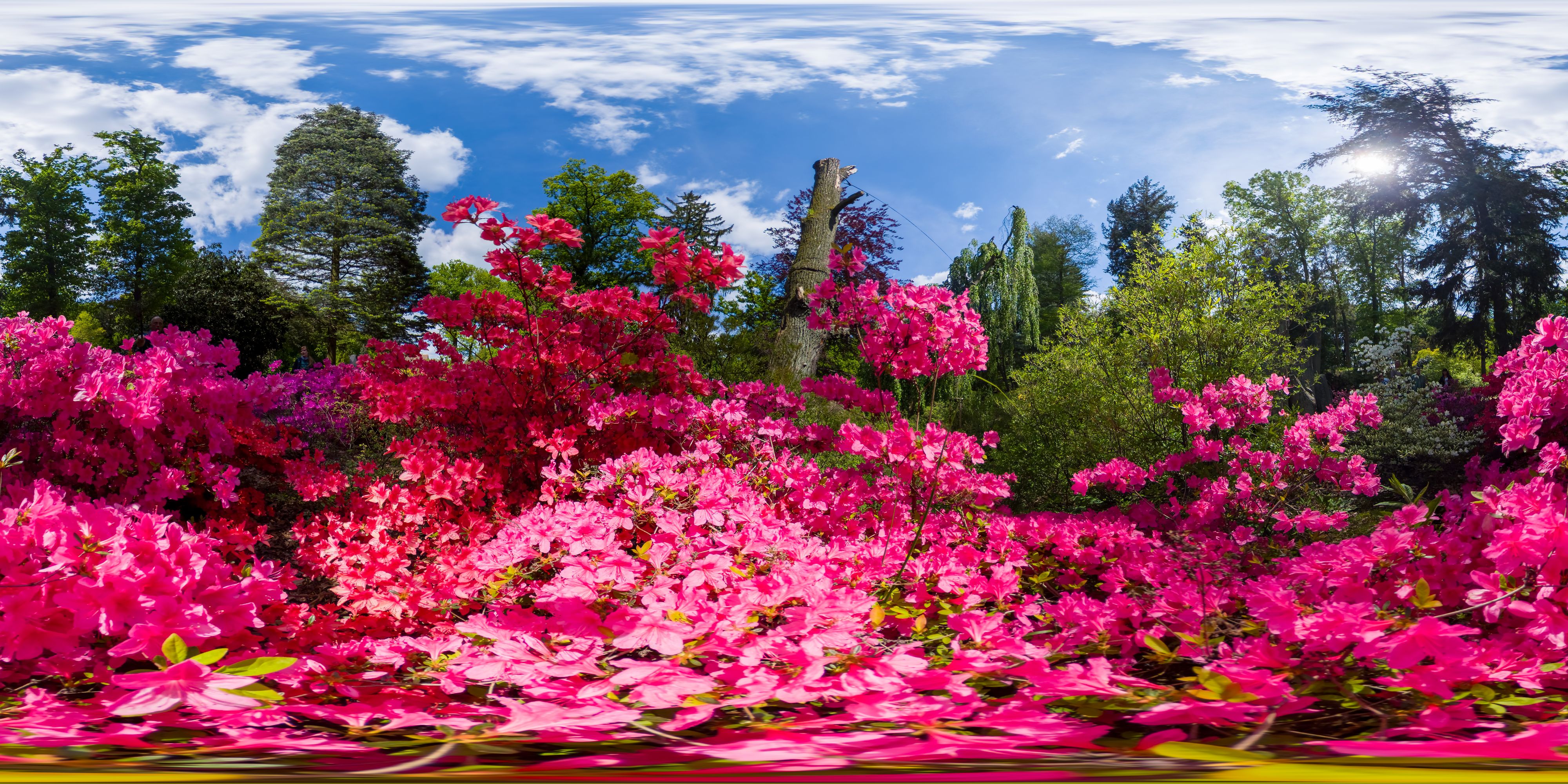 Equirectangular