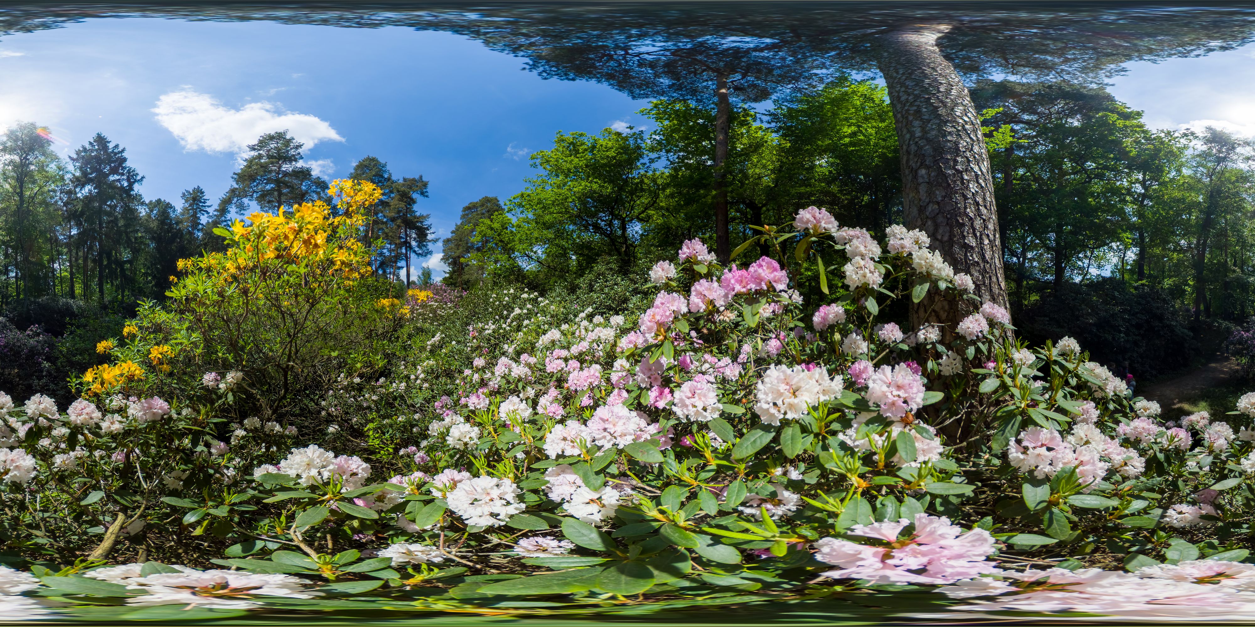 Equirectangular