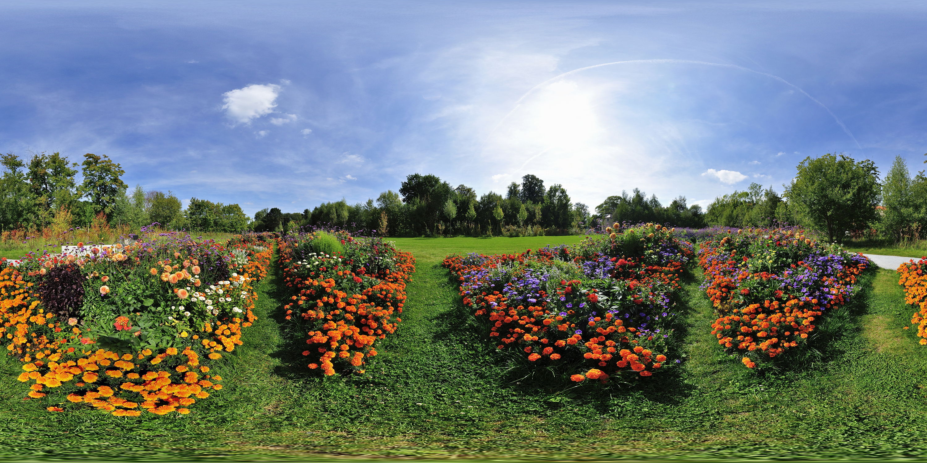 Equirectangular