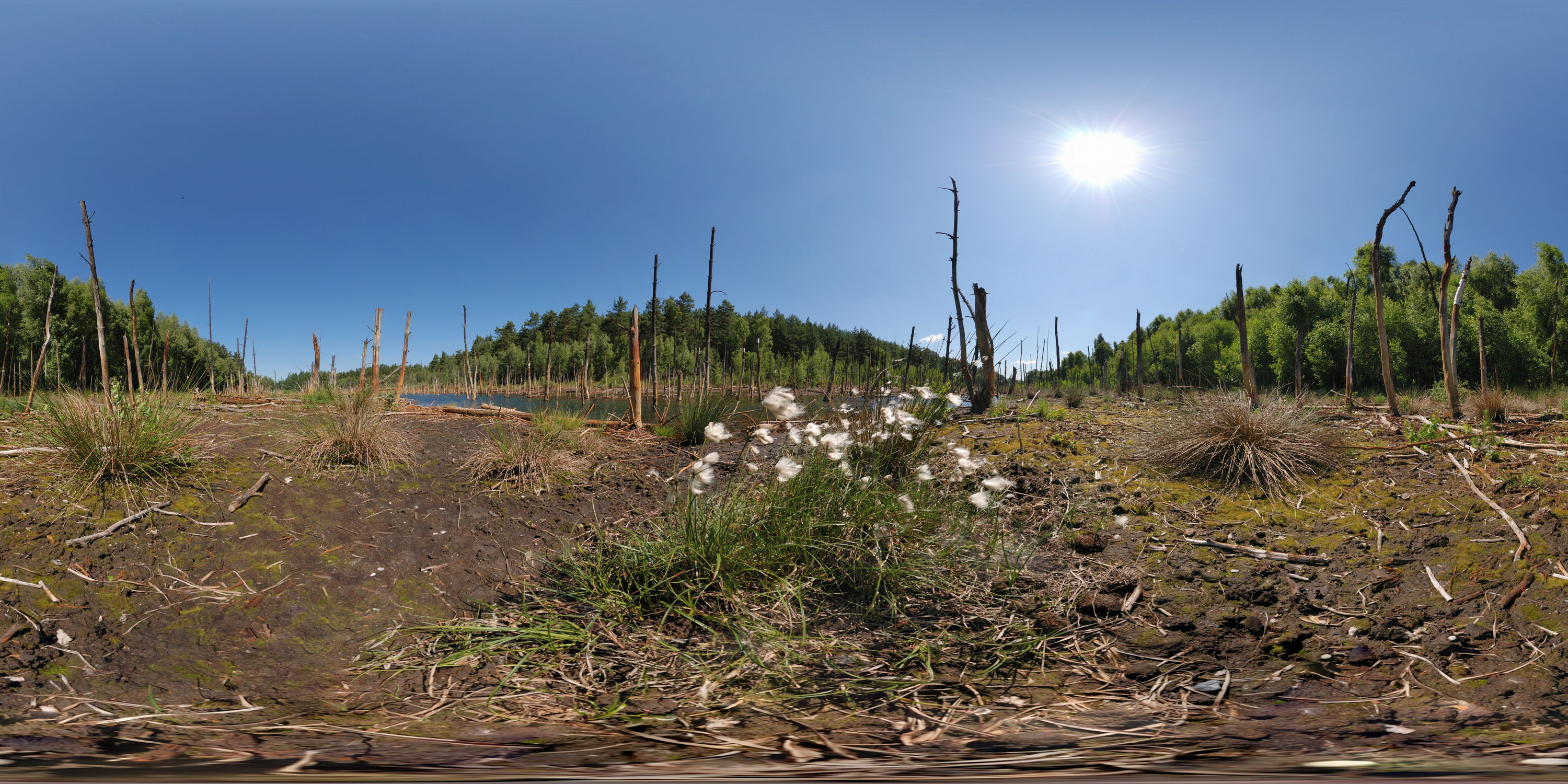 Equirectangular