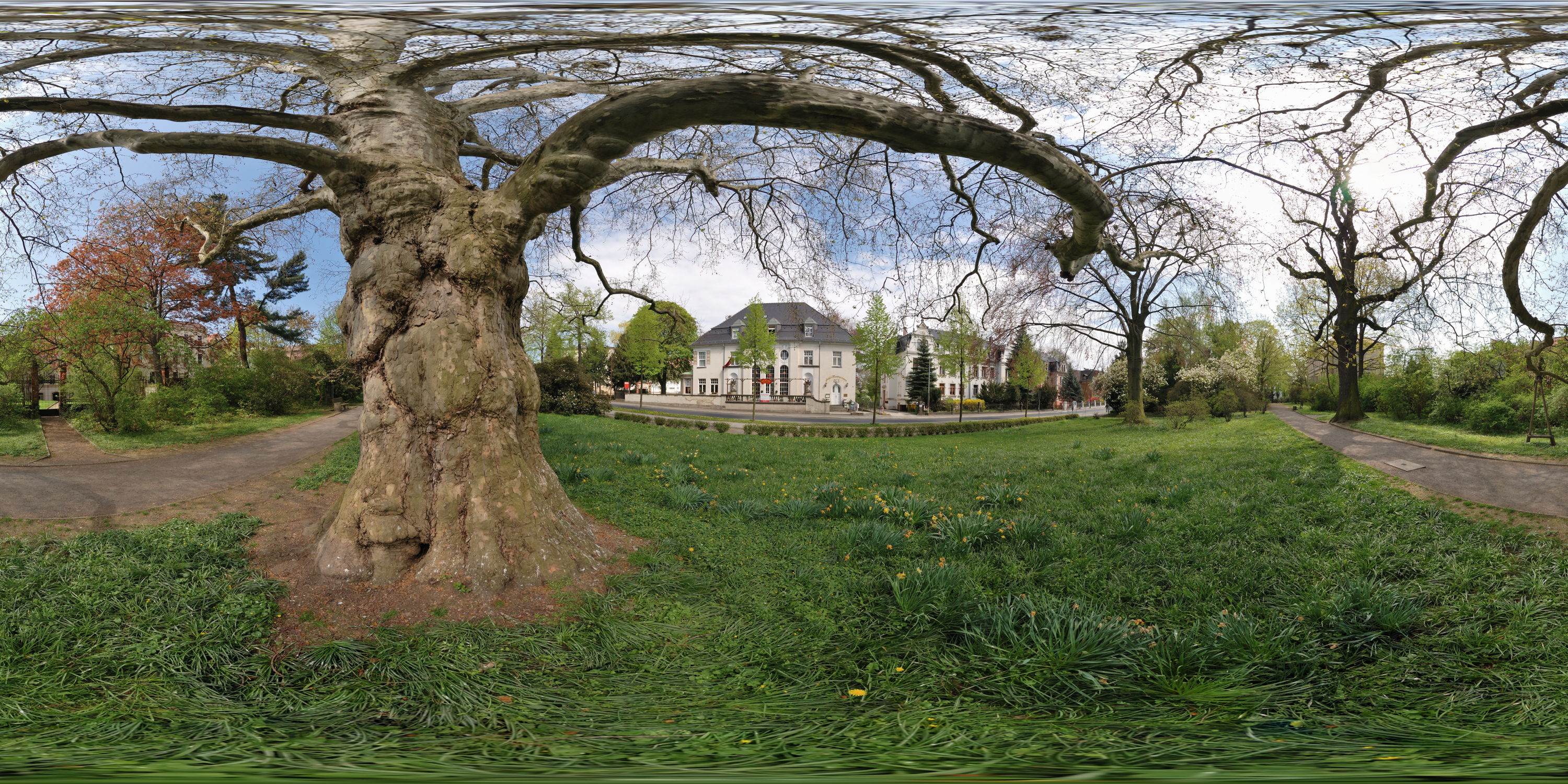 Equirectangular