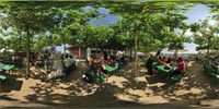 Biergarten 2