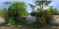 360 Grad Panorama: Rakotzbrücke 1 (Azaleen- und Rhododendronpark)