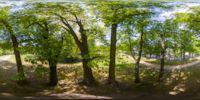 360 Grad Panorama: Eicheninsel (Azaleen- und Rhododendronpark)