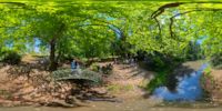 360 Grad Panorama: Inselteich (Azaleen- und Rhododendronpark)