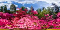360 Grad Panorama: Inselteich (Azaleen- und Rhododendronpark)
