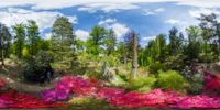 360 Grad Panorama: Inselteich (Azaleen- und Rhododendronpark)